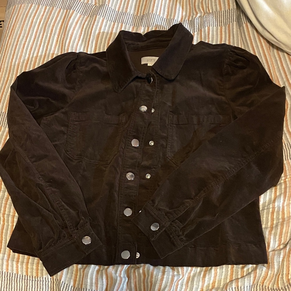 LOFT Brown Button Down Shirt